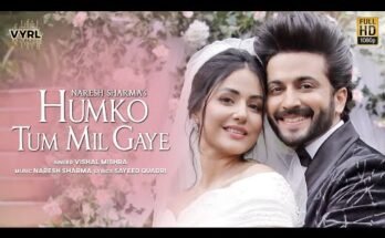 Humko Tum Mil Gaye Lyrics - Vishal Mishra