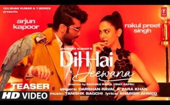 Dil Hai Deewana Lyrics - Darshan Raval x Zara Khan