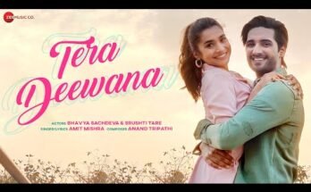 Tera Deewana Lyrics - Amit Mishra