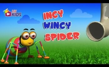 Incy Wincy Spider Lyrics - Nursery Rhymes