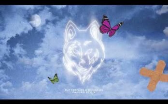 Butterflies & Bandaids (Fahjah Remix) Lyrics - Masked Wolf