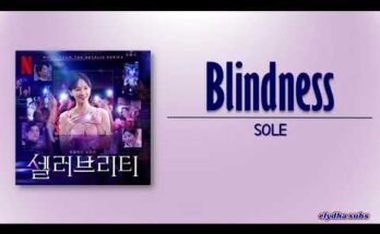 Blindness Lyrics – Celebrity OST | SOLE