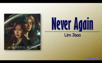 Never Again Lyrics - Wonderful World OST